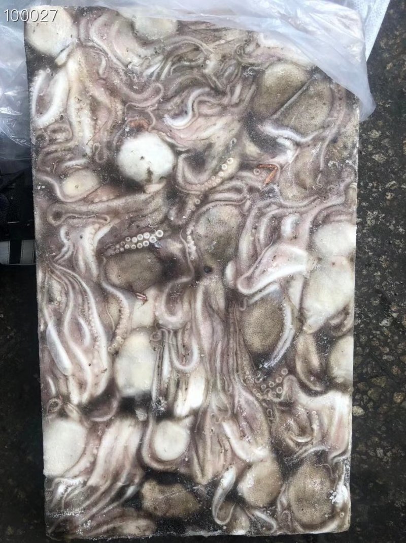辽宁东港新鲜原浆速冻八爪鱼质量好价格优