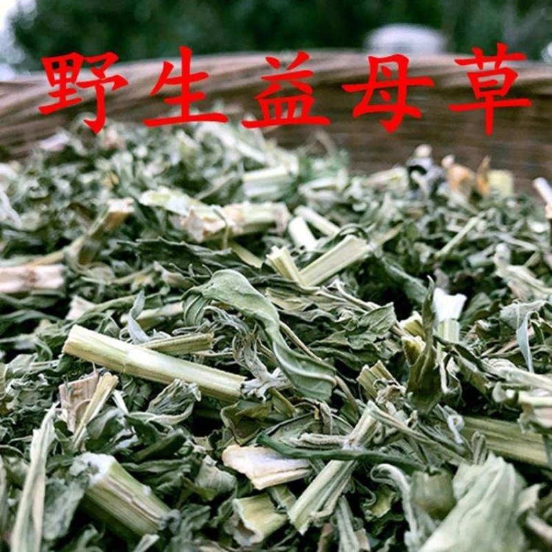 益母草