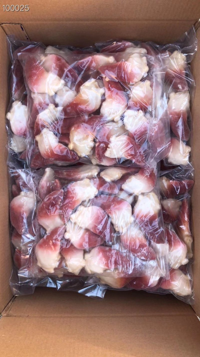 辽宁东港新鲜加工北极贝质量好