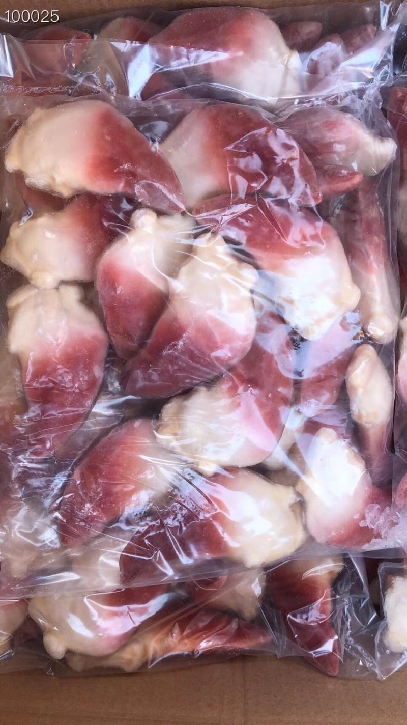 辽宁东港新鲜加工北极贝质量好