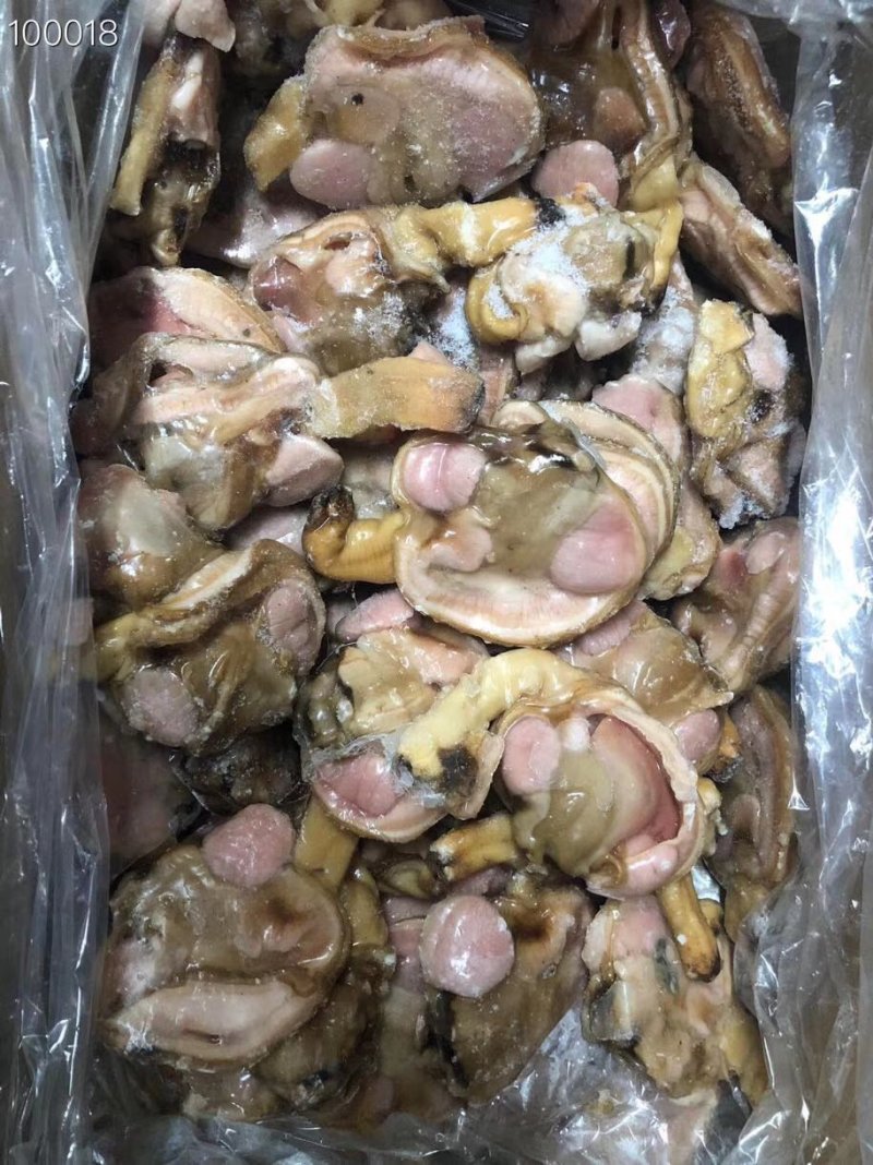 辽宁东港质量非常好天鹅蛋肉