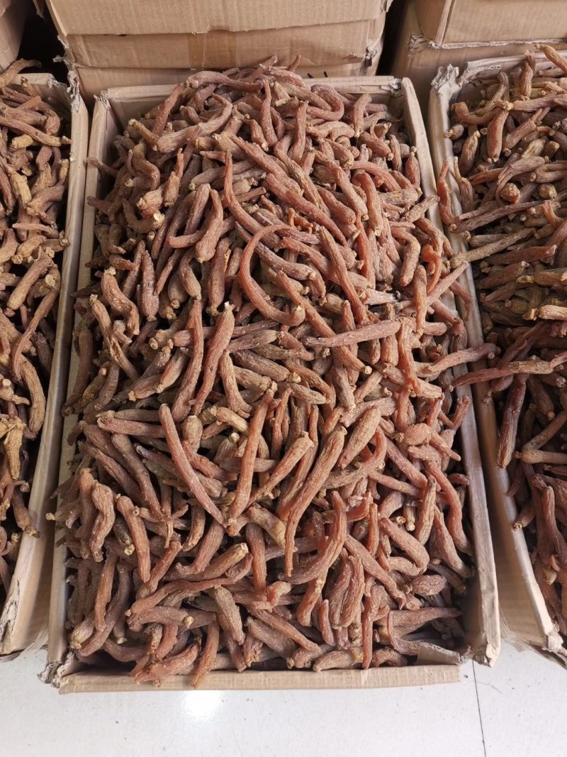 红参个子东北无糖无硫干货一斤起包邮量大从优