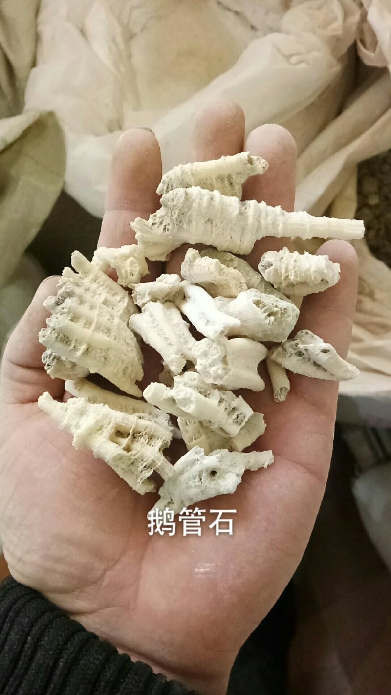 鹅管石滴乳石钟乳石钟乳矿石类药材