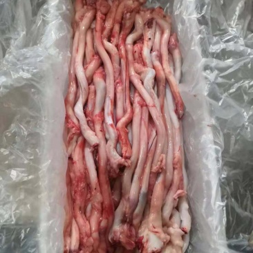 羊鞭，纯育肥糕羊，货真价实！