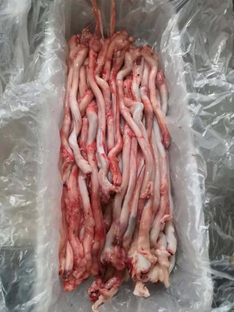 羊鞭，纯育肥糕羊，货真价实！