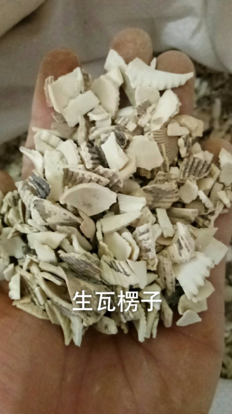 瓦楞子生瓦楞子煅瓦楞子各种矿石类中药材