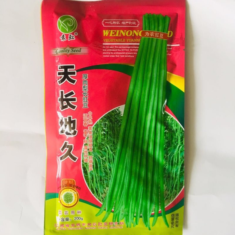 厚肉长豆角种子油绿长豇豆种子抗病高产长豆角种籽春夏秋