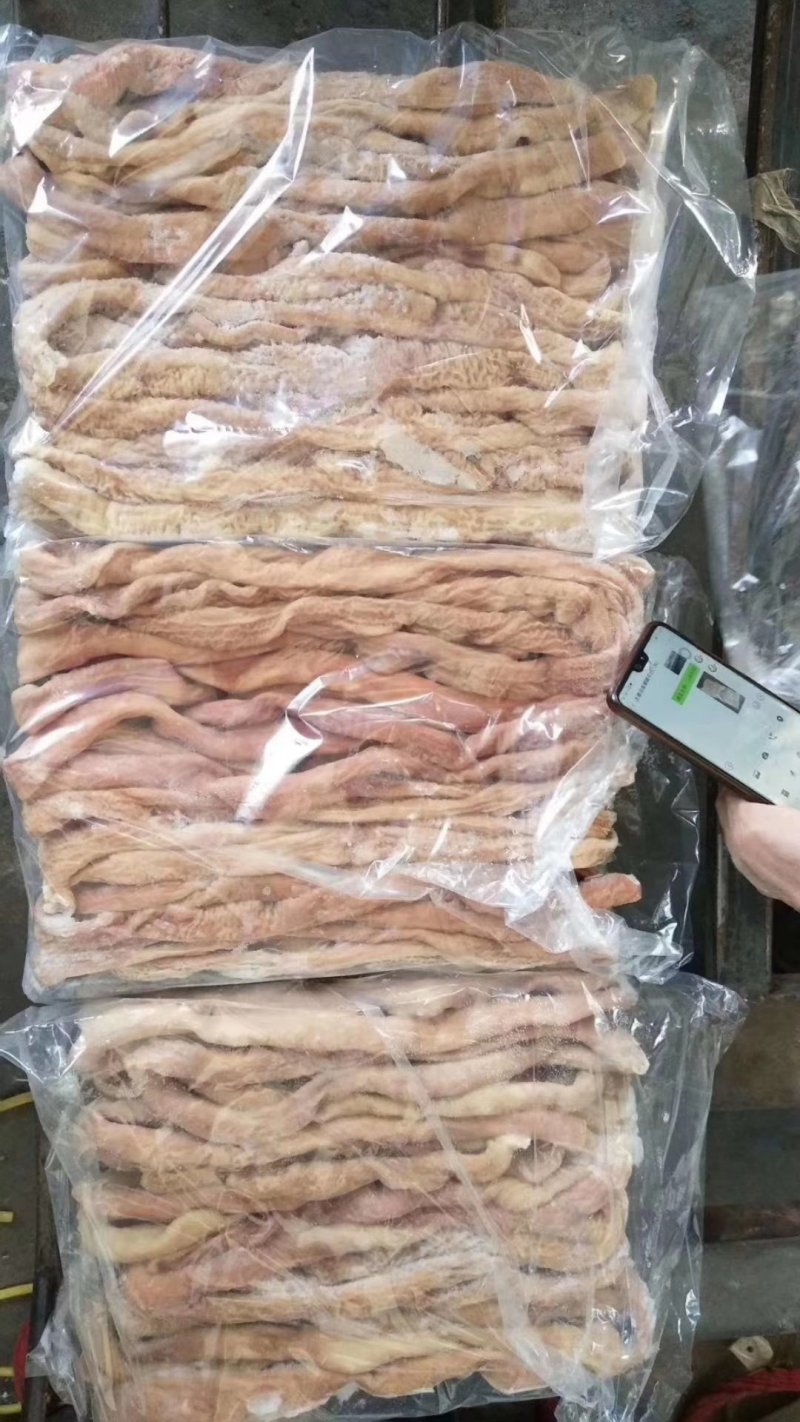 猪小肠，肥猪的小肠