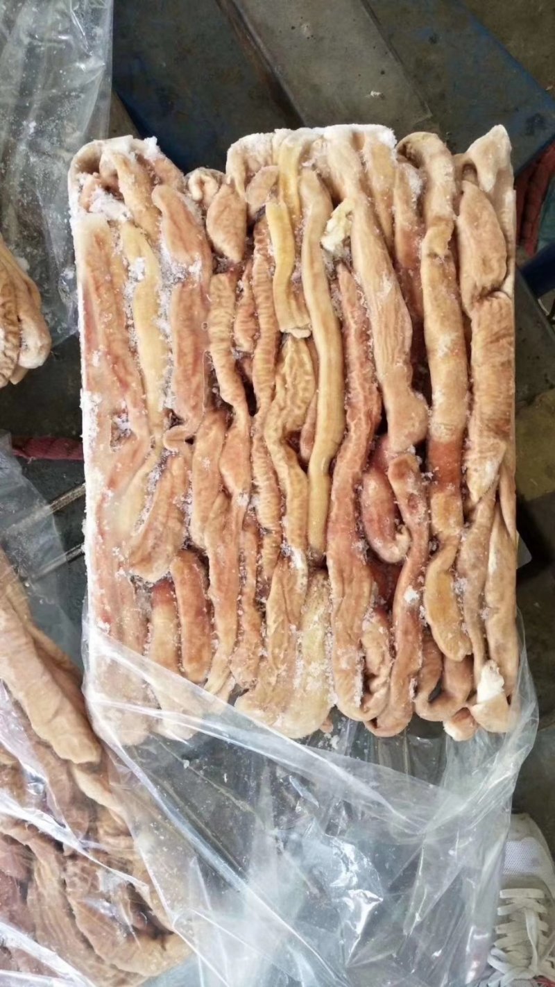 猪小肠，肥猪的小肠