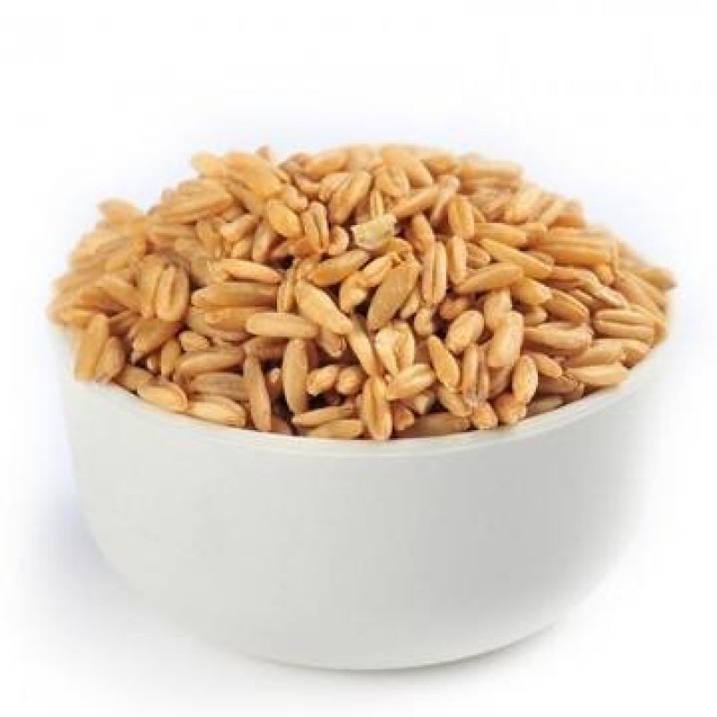 燕麦，熟燕麦