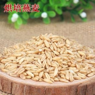 燕麦,熟燕麦