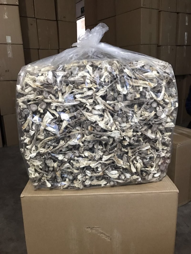 2021新品鹿茸菇精品切根剪脚特级干货一箱十斤批发