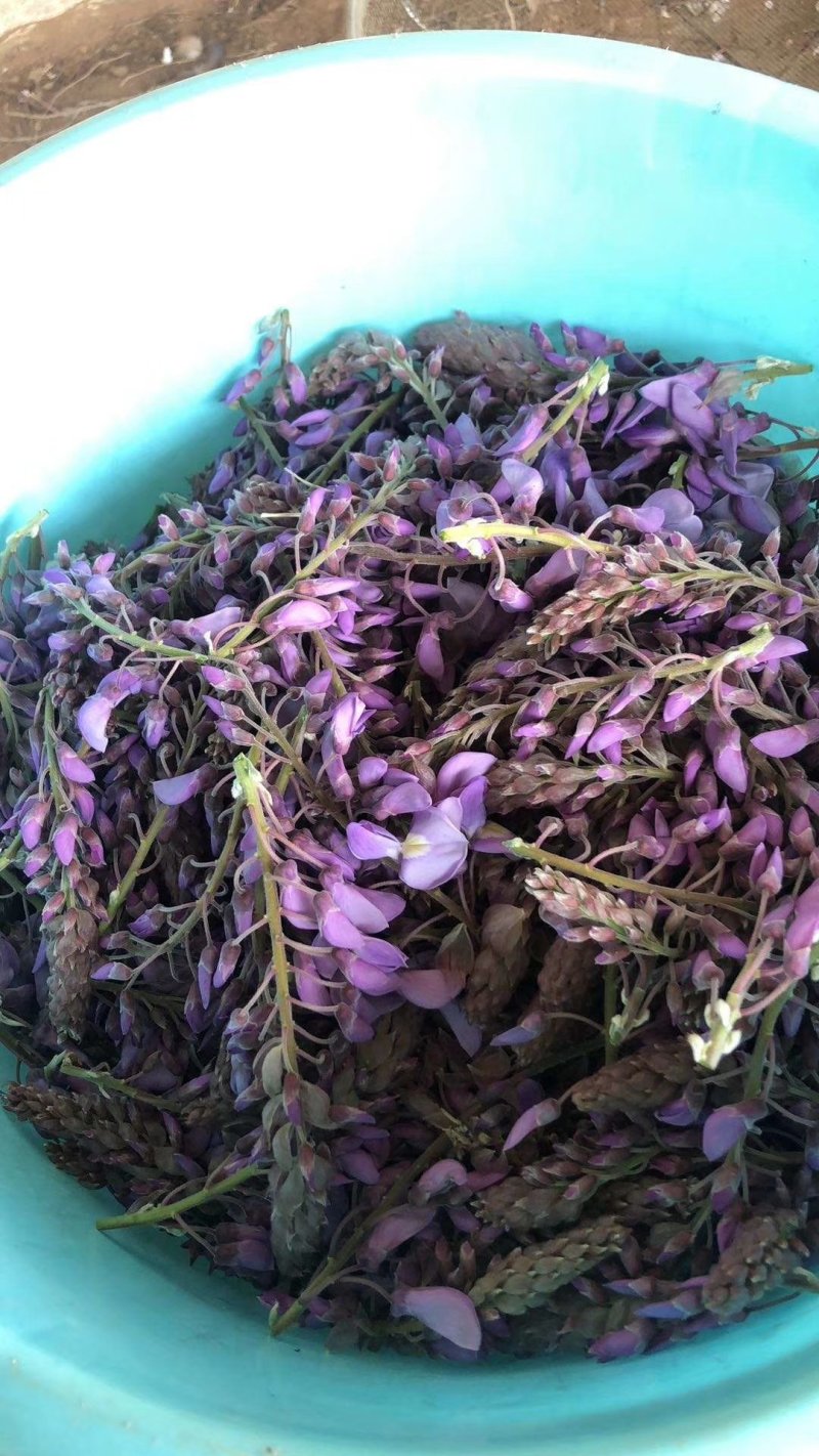 葛花