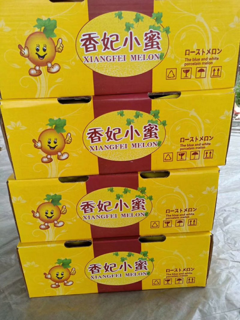 山东西州蜜瓜晓蜜25耀龙脆甜可口鲜甜汁多欢迎合作