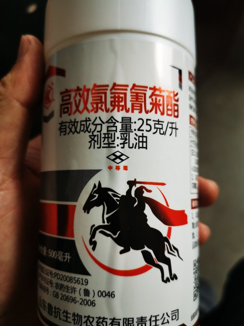 500克高效氯氟氰菊酯菜青虫小菜蛾杀虫剂