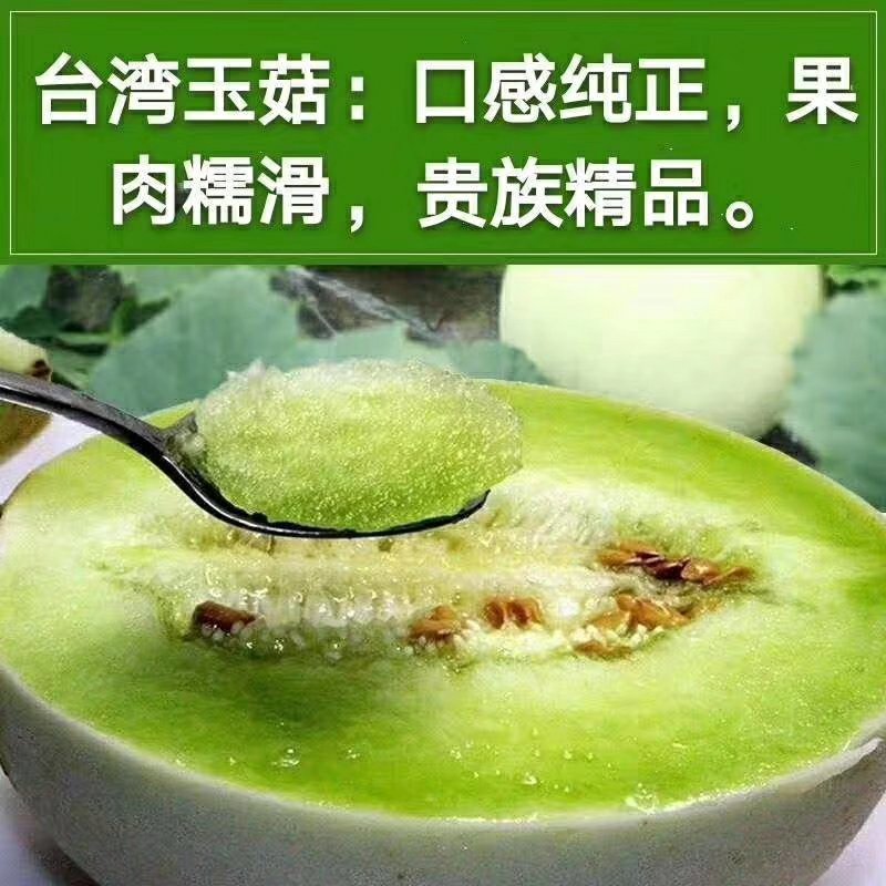 甜瓜玉姑甜瓜冰清玉姑口感纯正果肉糯滑