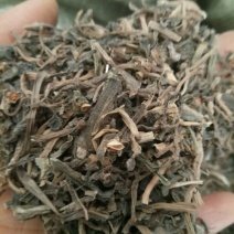 马齿笕马齿苋产地直供支持线上交易各种规格可搭配