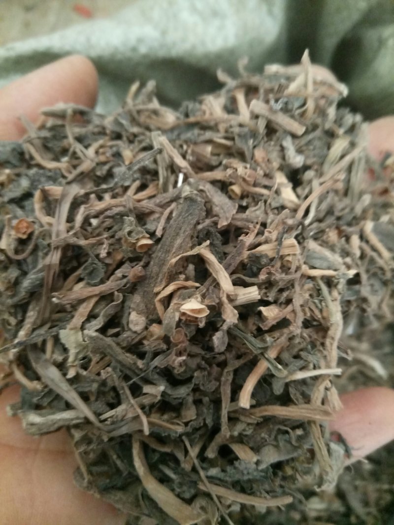马齿笕马齿苋产地直供支持线上交易各种规格可搭配
