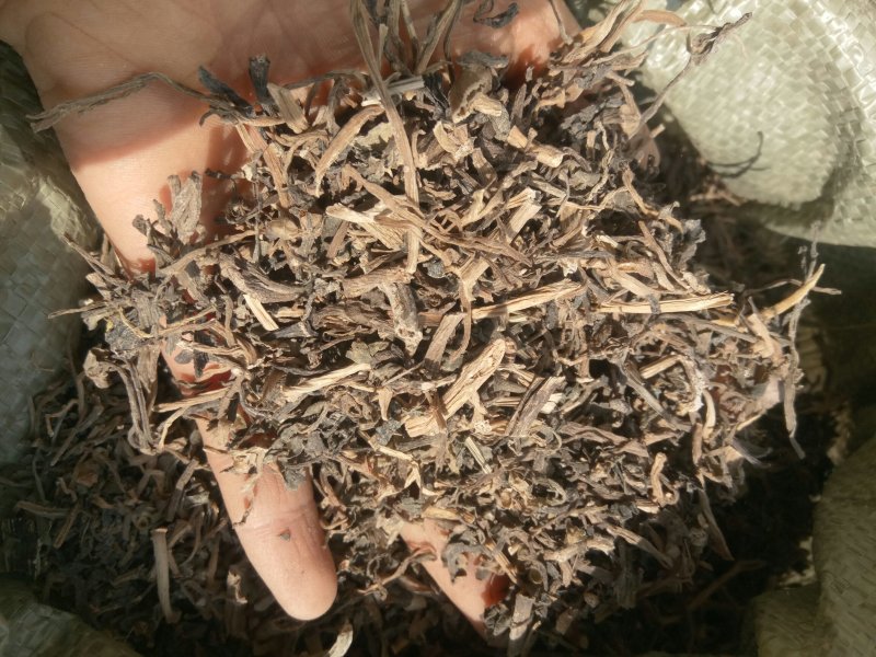 马齿笕马齿苋产地直供支持线上交易各种规格可搭配