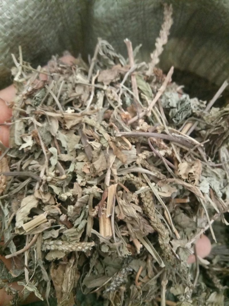 车前草产地直供可搭配多品种采购大货联系客服