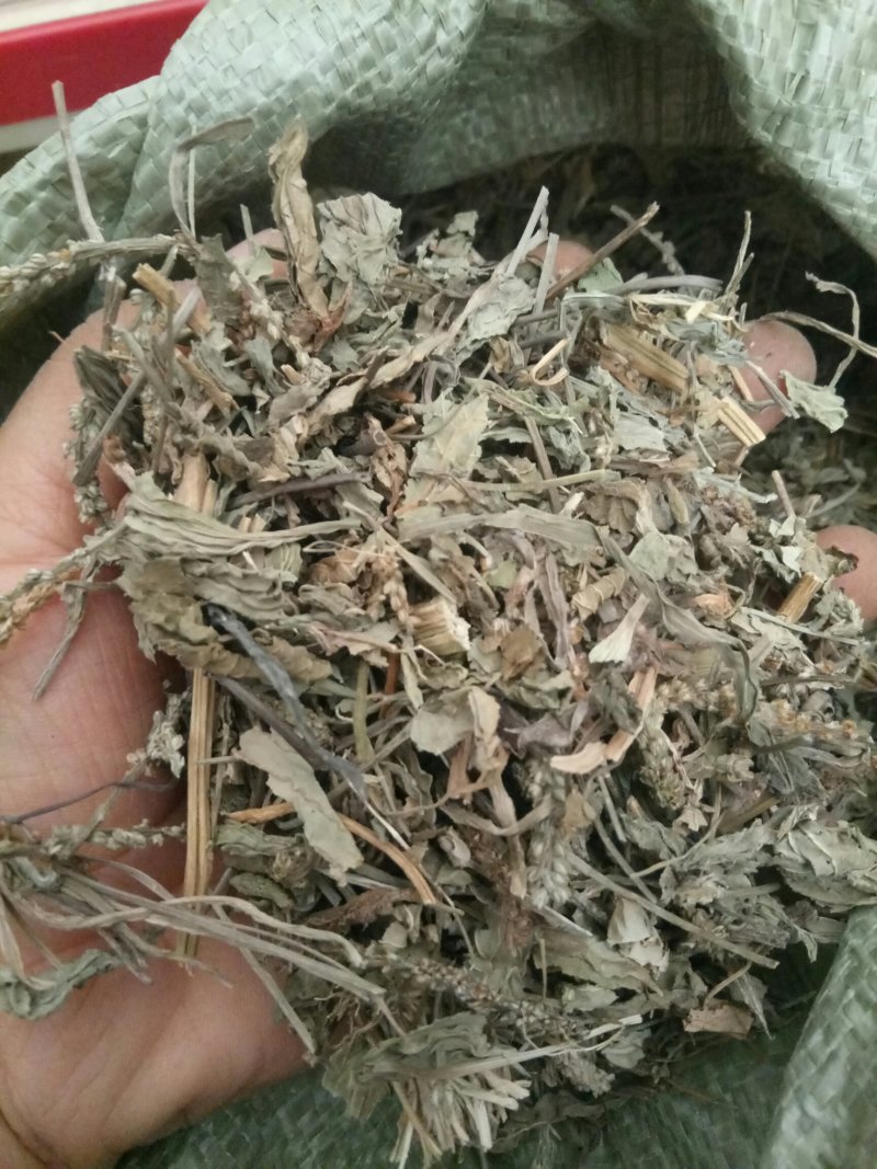 车前草产地直供可搭配多品种采购大货联系客服