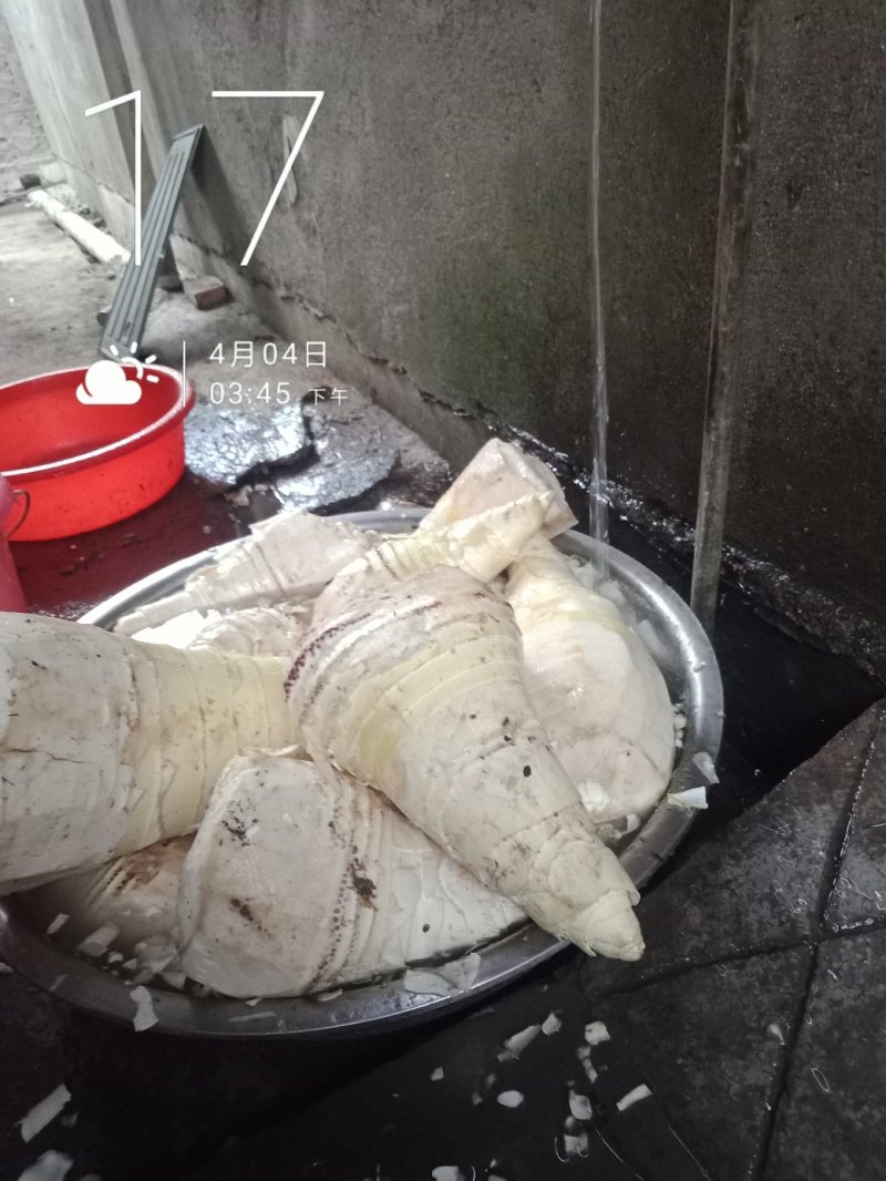 养生福地铜鼓县特产楠竹笋干，又名烟笋，柴火烘干