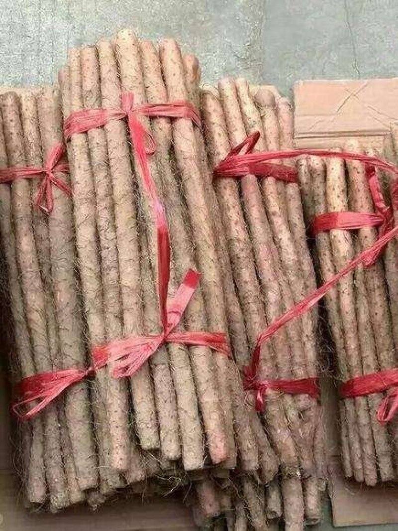 正宗铁棍山药，现挖现发，可对接全国发货，可视频看货一条龙