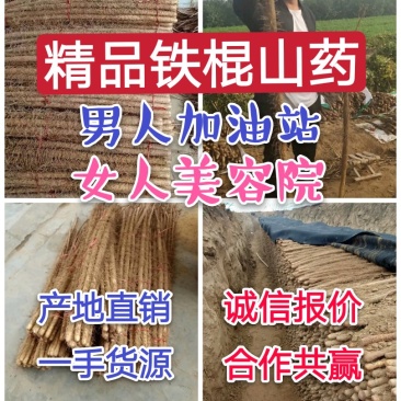 正宗大荔铁棍山药,原产地直供一手货源批发,免费一条龙服务