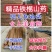 正宗大荔铁棍山药,原产地直供一手货源批发,免费一条龙服务