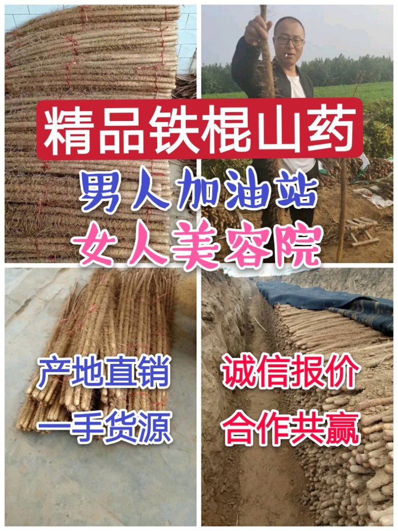 正宗大荔铁棍山药，原产地直供一手货源批发，免费一条龙服务
