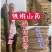 正宗大荔铁棍山药,原产地直供一手货源批发,免费一条龙服务