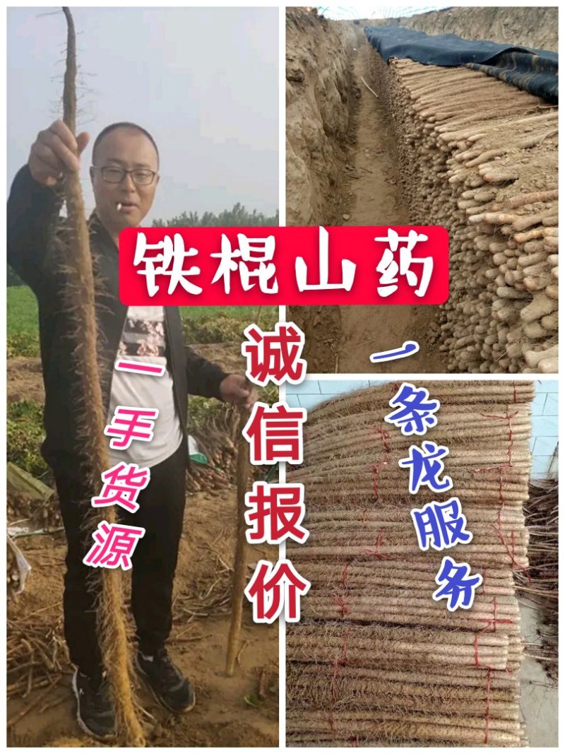 正宗大荔铁棍山药，原产地直供一手货源批发，免费一条龙服务