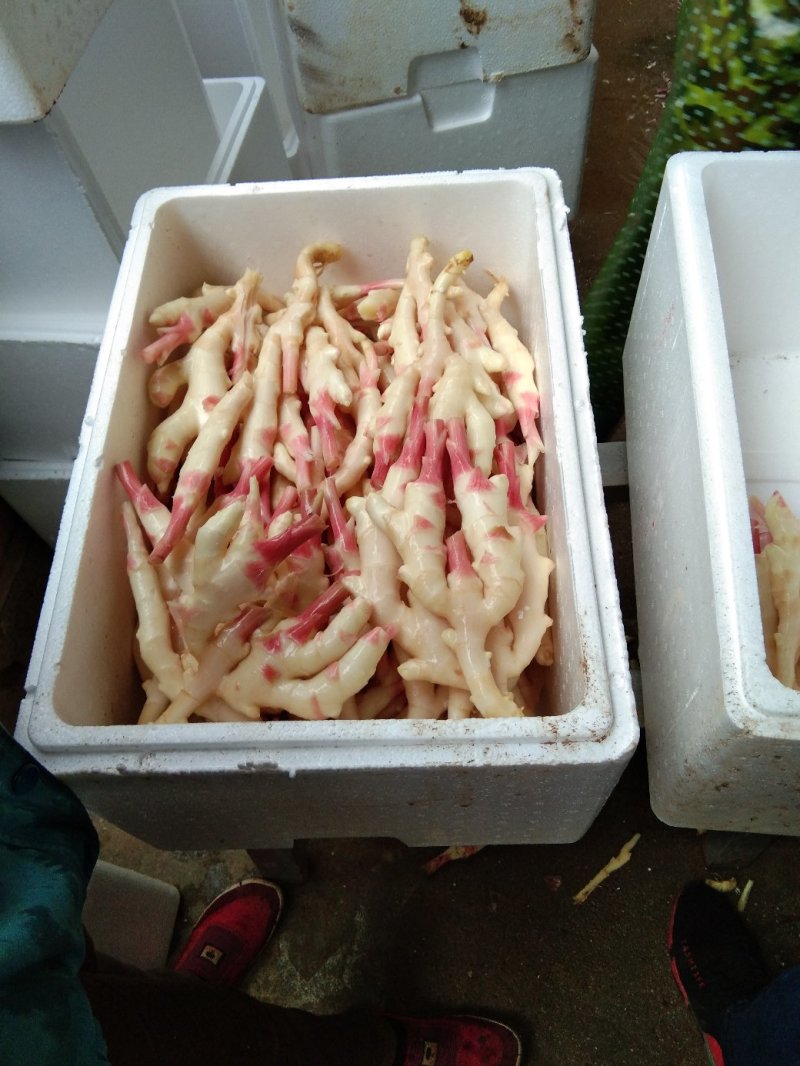 精品生姜质量好口感好
