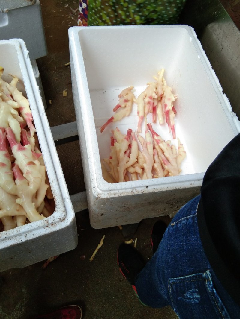 精品生姜质量好口感好