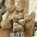 浮石海浮石生浮石煅浮石矿石类药材