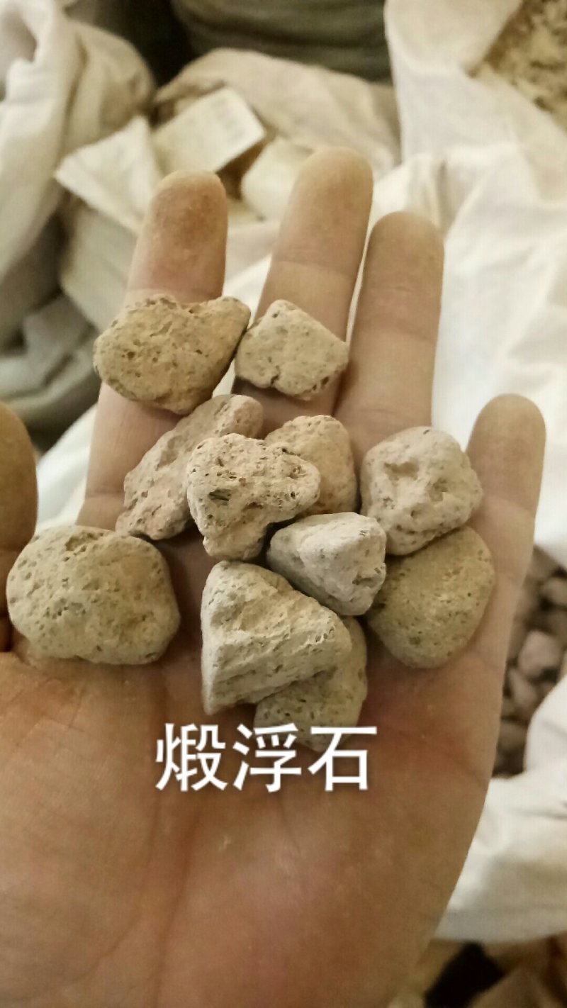 浮石海浮石生浮石煅浮石矿石类药材