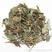 肺形草，常年批发供应冷背中药材，肺形草，正品
