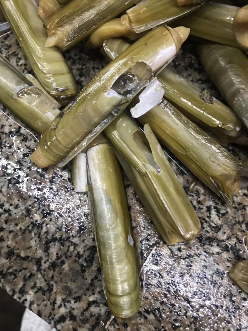 竹节成，大蛏王