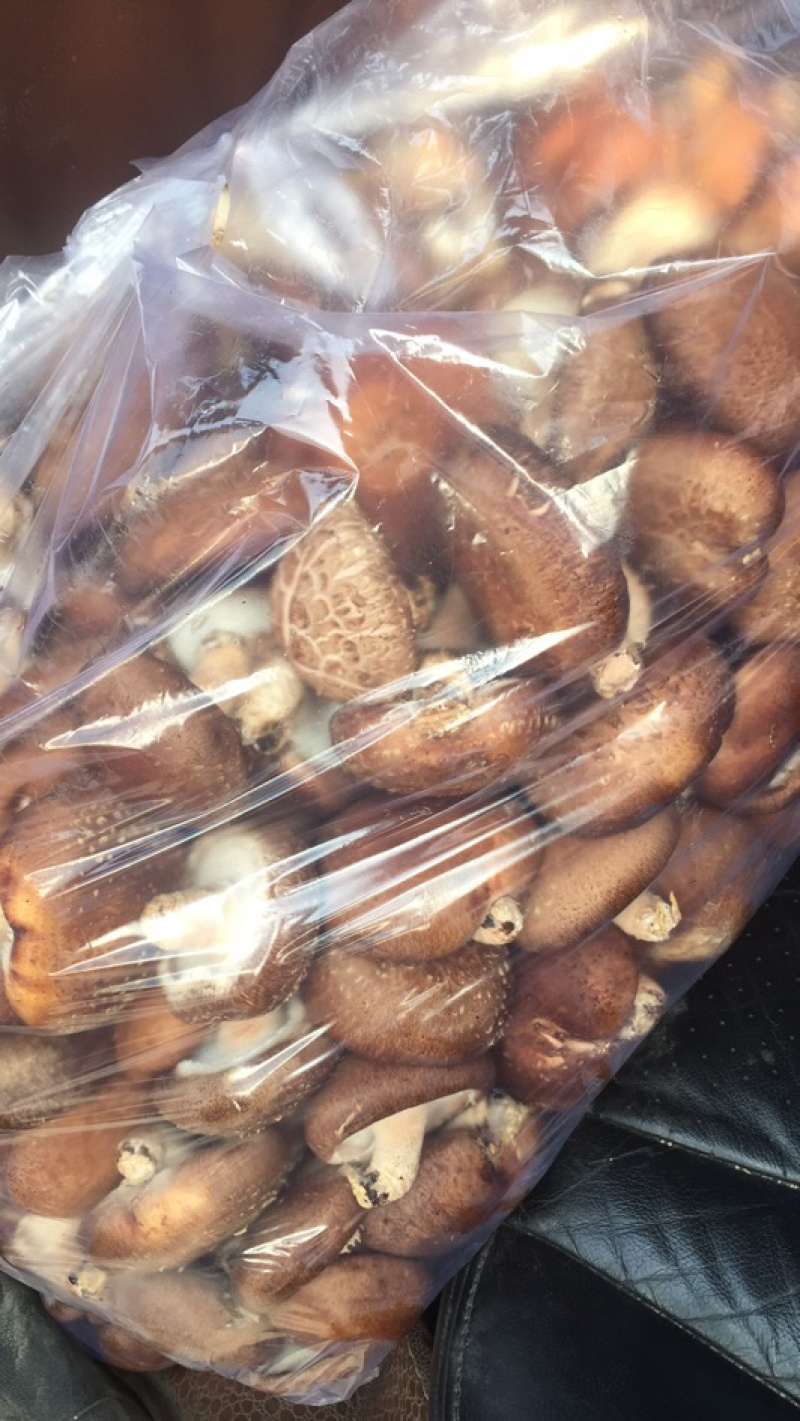 菌菇套餐