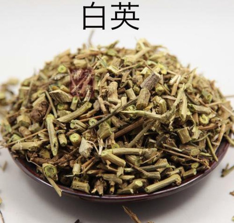 白英，常年批发供应冷背中草药白英，量大从优