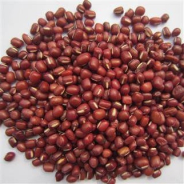 红小豆，常年批发供应药食同源红小豆，量大从优