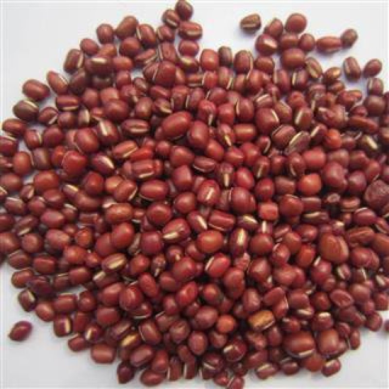 红小豆，常年批发供应药食同源红小豆，量大从优