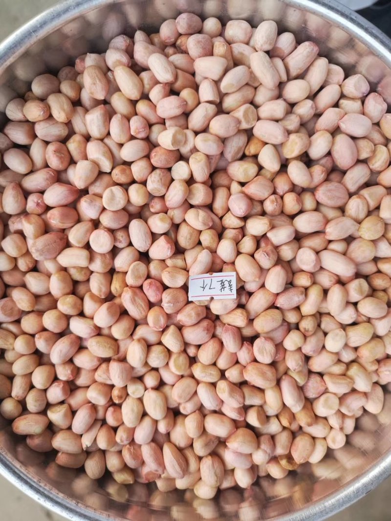 新产白沙花生精米8个的筛上，，产地直发。