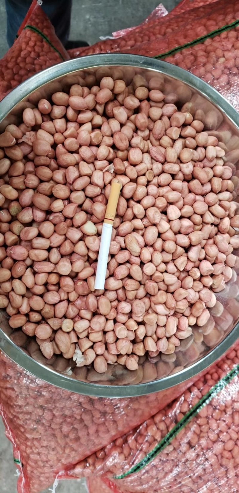 新产白沙花生精米8个的筛上，，产地直发。