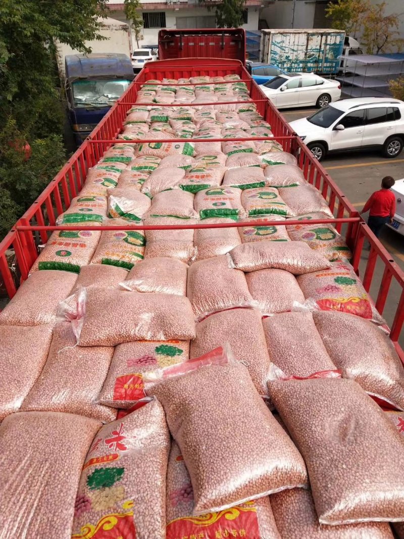 新产白沙花生精米8个的筛上，，产地直发。