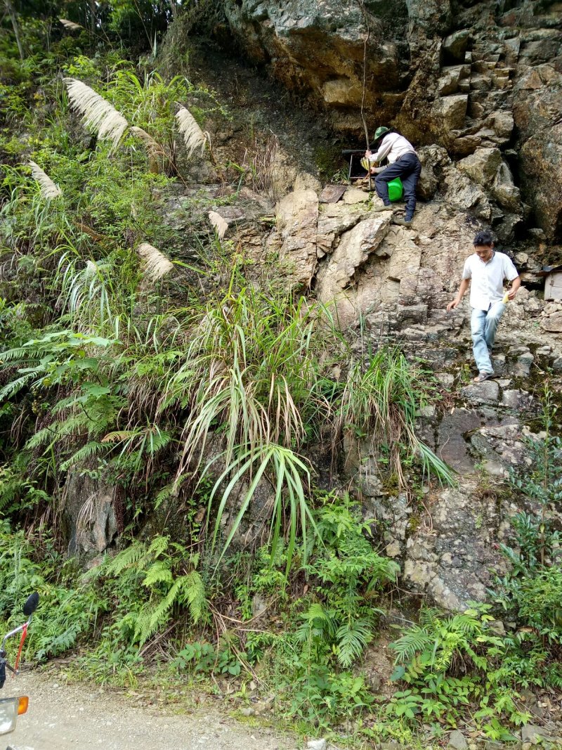 桂林瑶山土蜂蜜，瑶山自然特产
