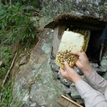 桂林瑶山土蜂蜜，瑶山自然特产