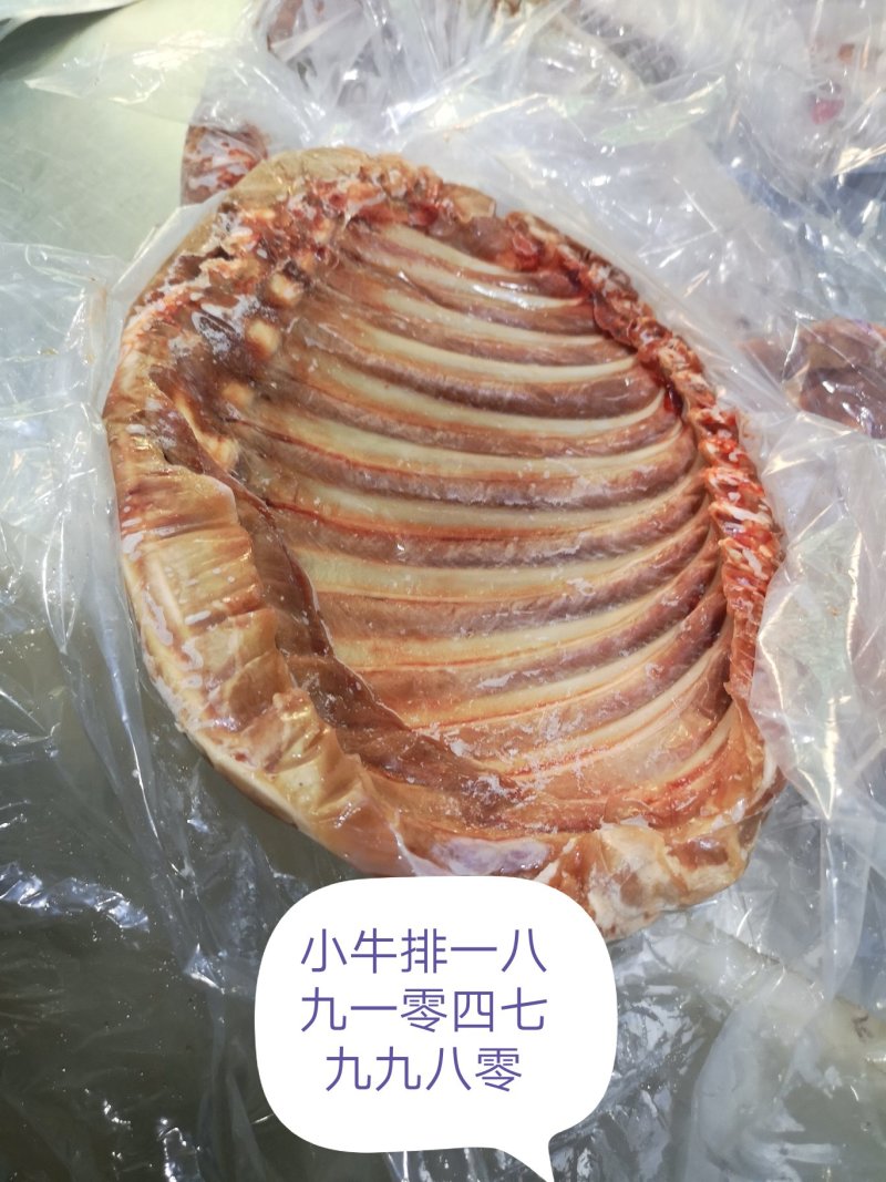 国产分割小牛，乳牛产品