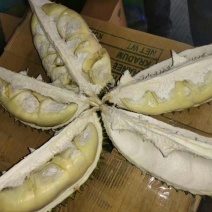 泰国猫山王榴莲
