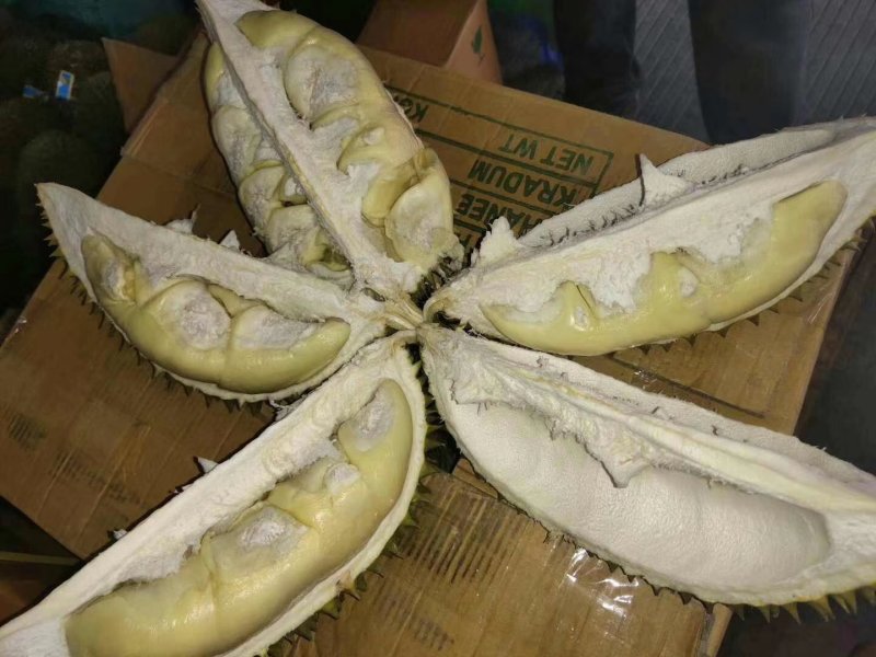 泰国猫山王榴莲